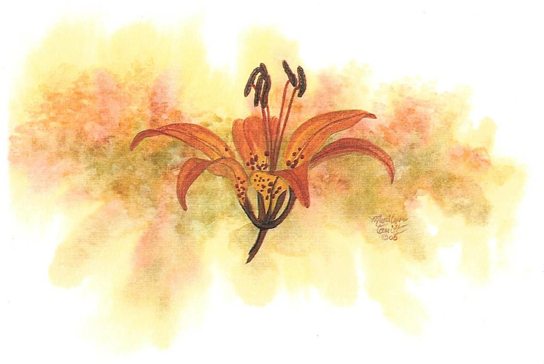 Home Tiger Lily Flower and Gift Shop