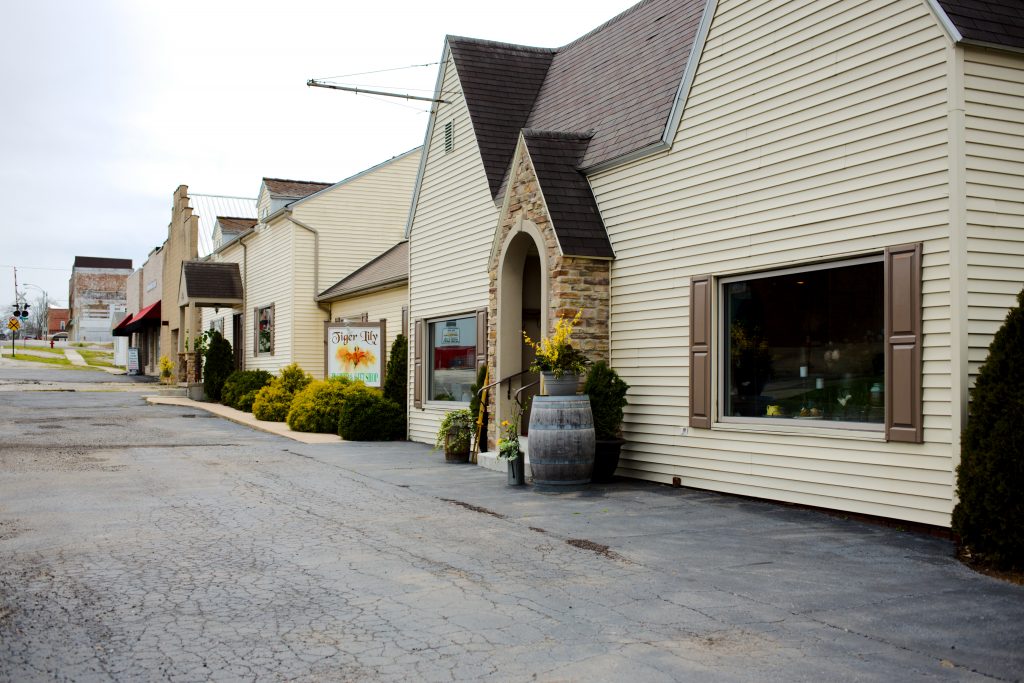 Home Tiger Lily Flower and Gift Shop